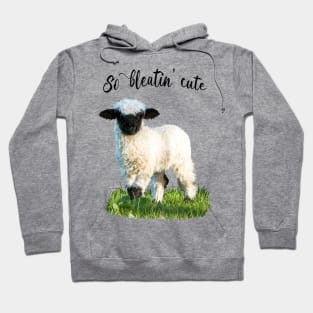 Valais Blacknose Lamb - So bleatin cute Hoodie